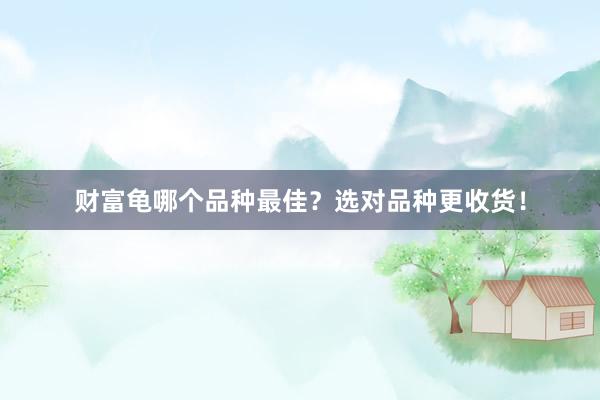 财富龟哪个品种最佳？选对品种更收货！